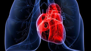 ELECTRONIC CIGARETTES DO NOT DAMAGE THE HEART.